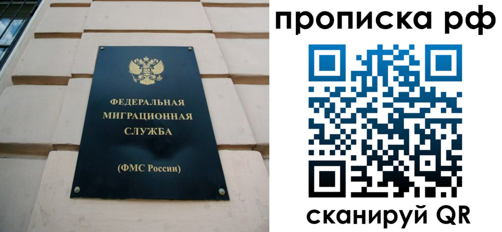 прописка регистрация в Стародубе